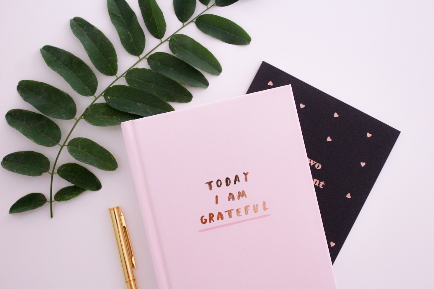 Tips For Consistent And Honest Blogging
